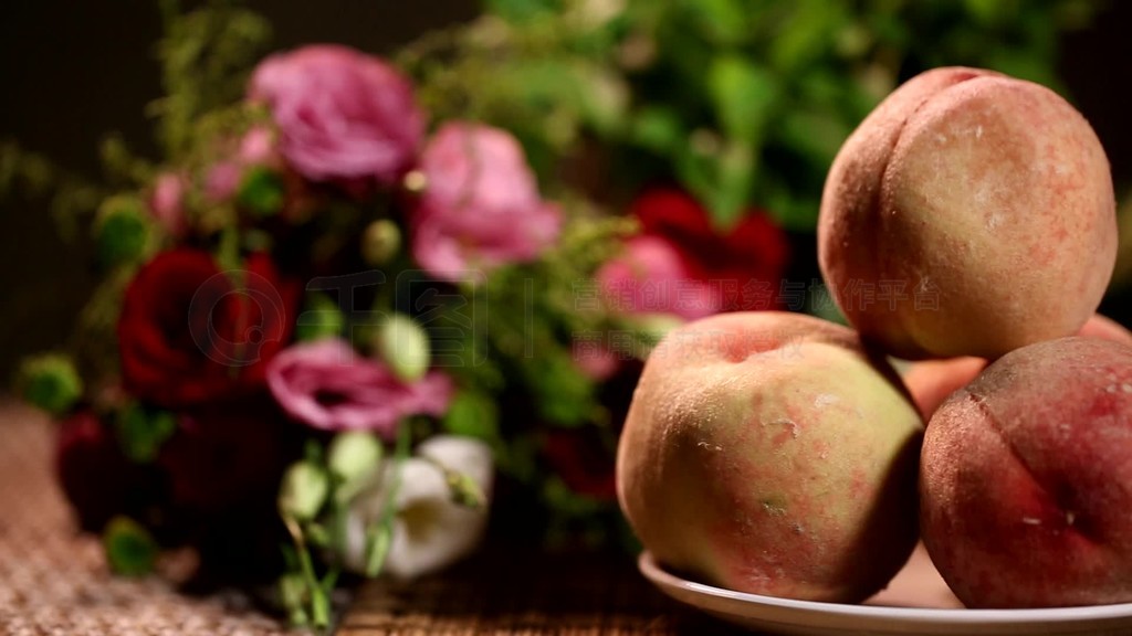 安幼宁yuni B站等平台的搜索框中