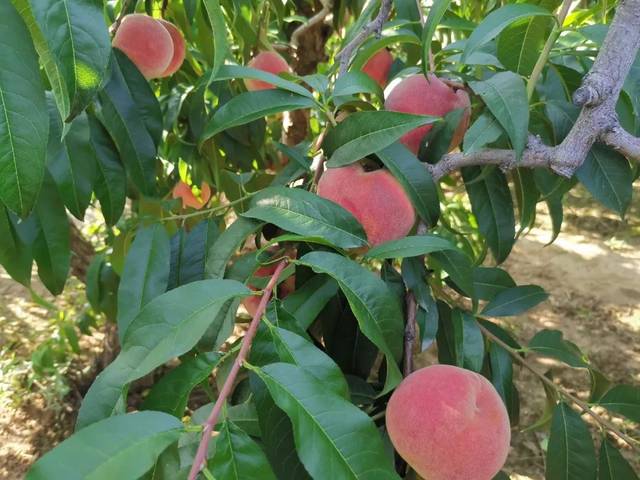 我 +去 叉 叉 网 站 地 址 尤其适合固定工作场景