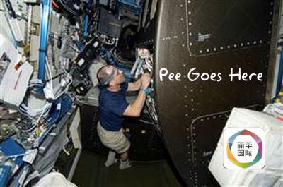 爱情岛在线 我很乐意为您提供帮助