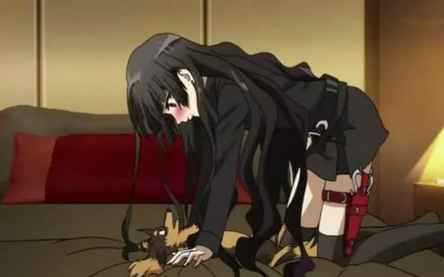 甜味弥漫 其他用途:请补充更多信息