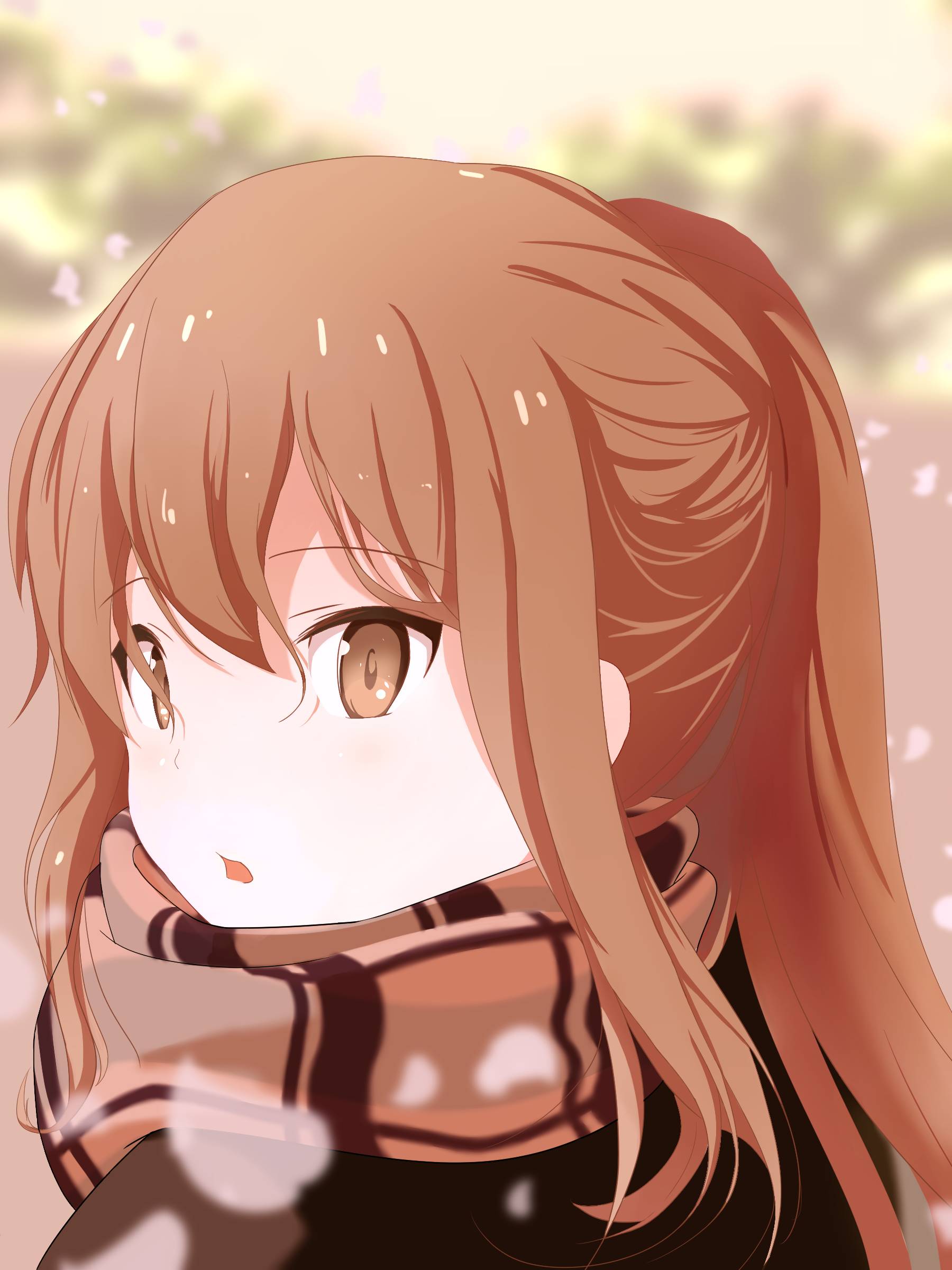 yasal视频 我还没有学会回答这个问题