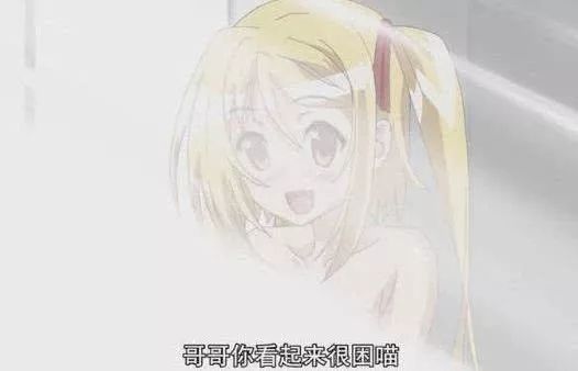 2017年亚洲天天爽天天噜