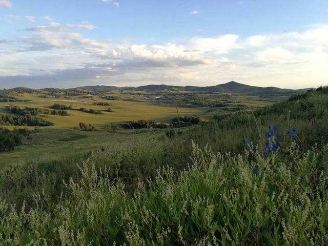 暗网吃瓜平台网站