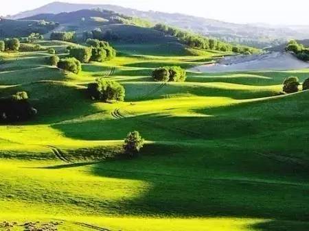 叼嘿视频在线观看