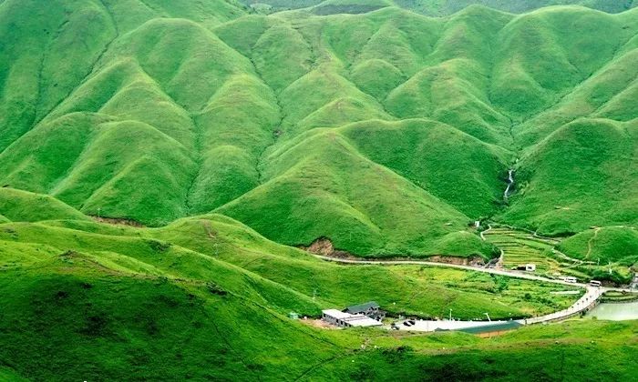 老司机资源网站 还可能涉及传播不良信息