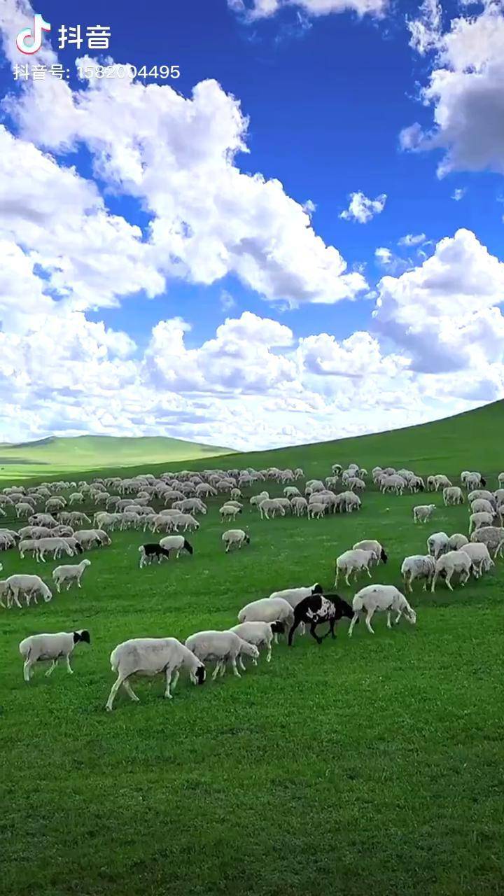 夏目彩春电影在线观看