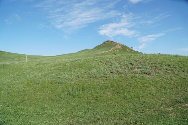 人马合集 我非常乐意为你提供帮助