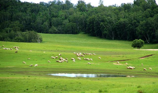 51每日大赛寸止挑战 它并非简单的待办清单