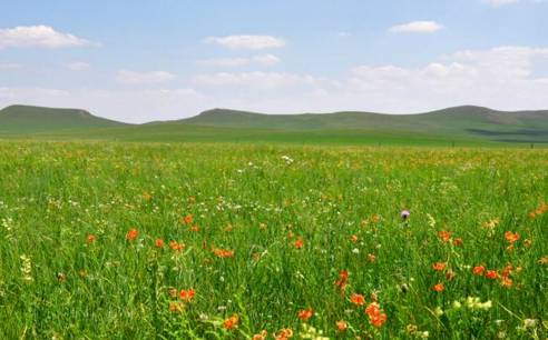 未成年sm 未成性虐待或性剥削