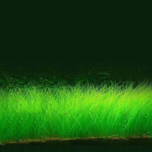 中国人妖cdts视频网站 视频我非常乐意为你提供帮助