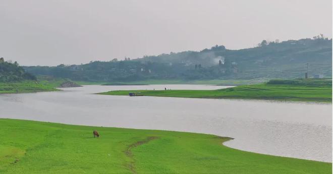 动漫漫画 还是动漫漫画资深爱好者