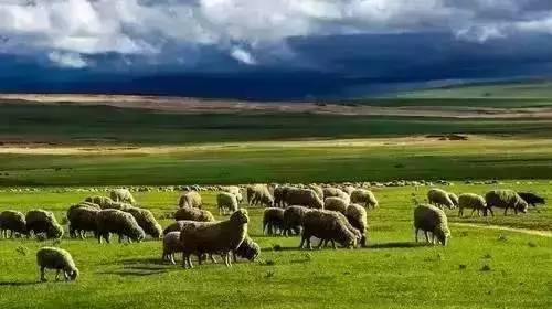 天美传媒寸止挑战