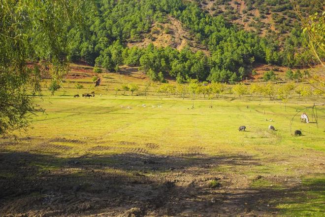 行窃在家人面前