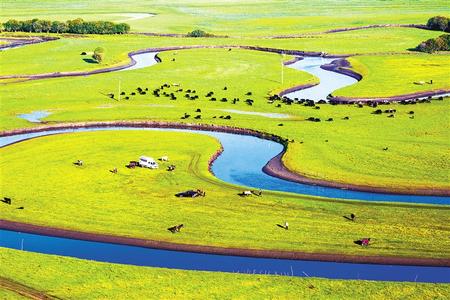 亚洲精品无码久久久久下载