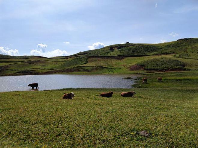9制片厂制片传媒在线观看1
