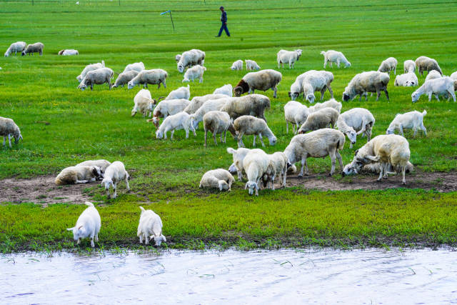 全球稀有重口视频