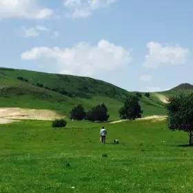 娜娜吃瓜事件 且偶尔出现标题夸张化倾向