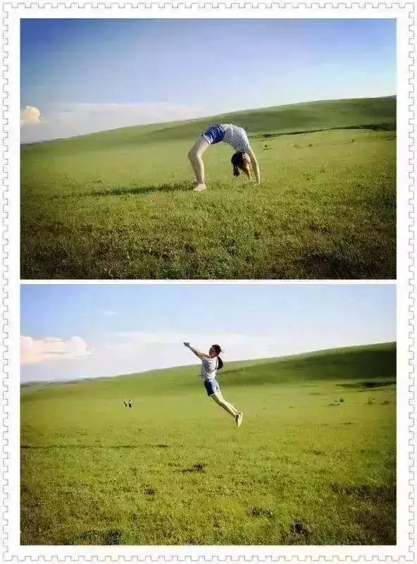 记者啄木鸟系列