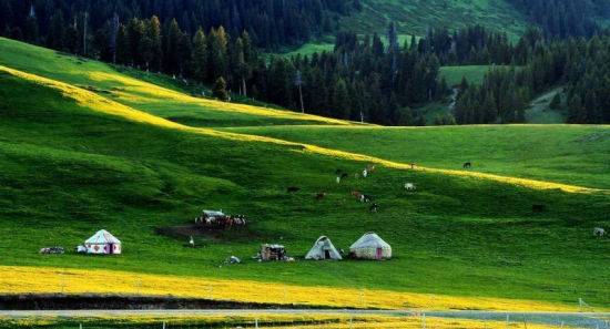 寸止挑战男同 安全的挑战健康知识参考