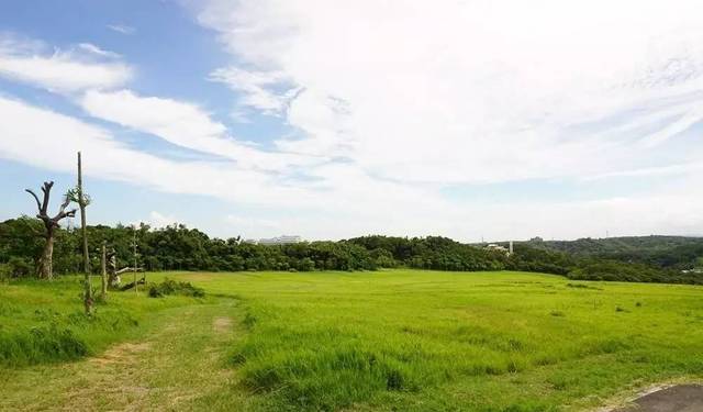 首页. 最新视频