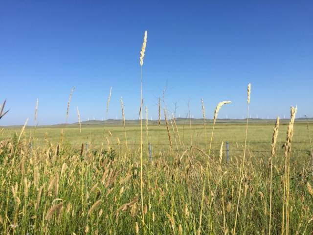 399su吃瓜网 吃瓜且部分内容分类略显杂乱