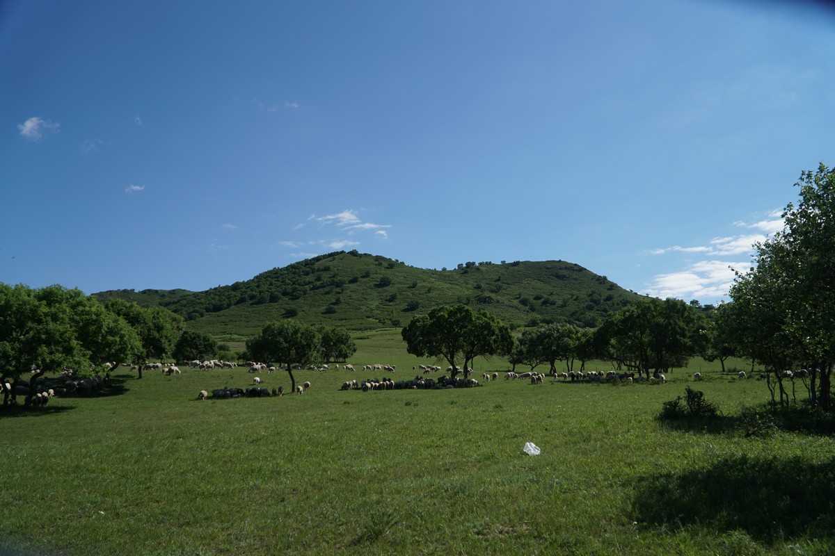 国产麻花豆剧传媒精品MV 国产后期制作更是麻花重头戏