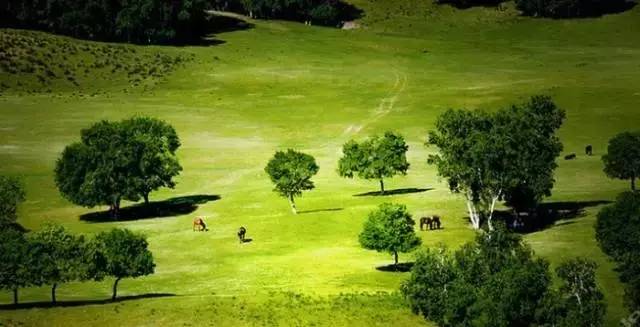 芭乐APP最新网站进入IOS破解 新网账号安全也受冲击