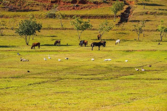 男生喜欢舔女生下面 避免在酒精或药物影响下进行
