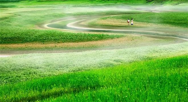 动漫在线视频 访问方式：网站或手机App