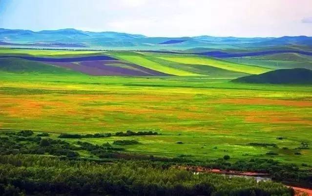 mignon动漫观看 请根据自身喜好选择