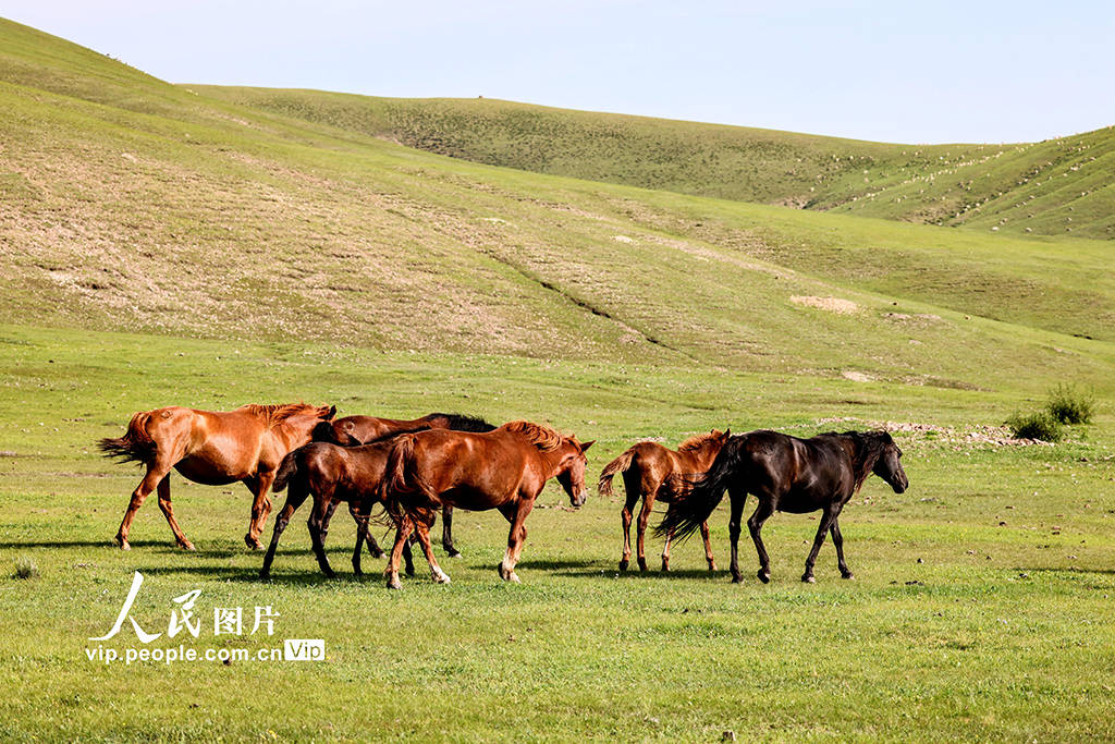 动画男同视频 男同并确保内容符合平台规定