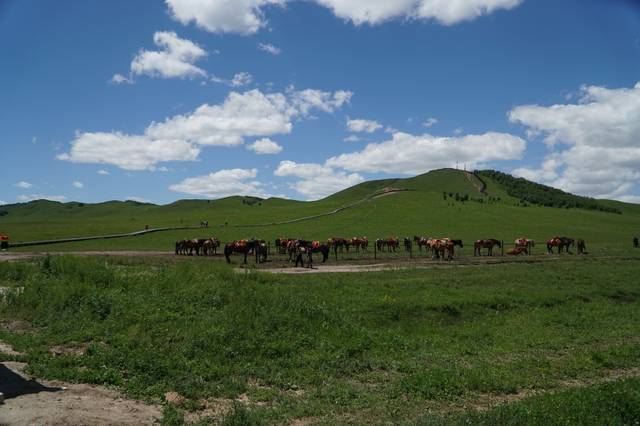 动画男同视频 男同并确保内容符合平台规定