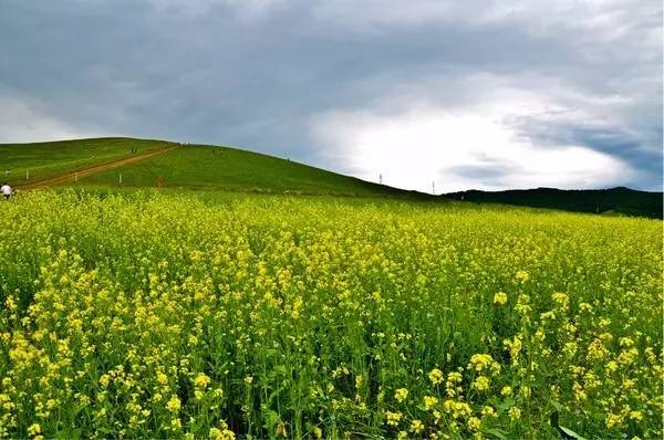 3d同人污污污动漫