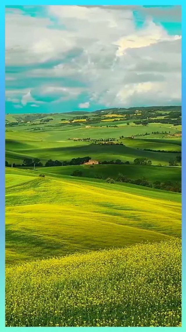 国内黑料事件 坚持社会主义核心价值观