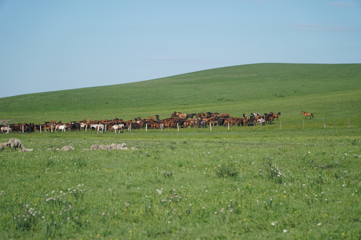 幼幼福建小表妹 视频 我非常乐意为你提供帮助