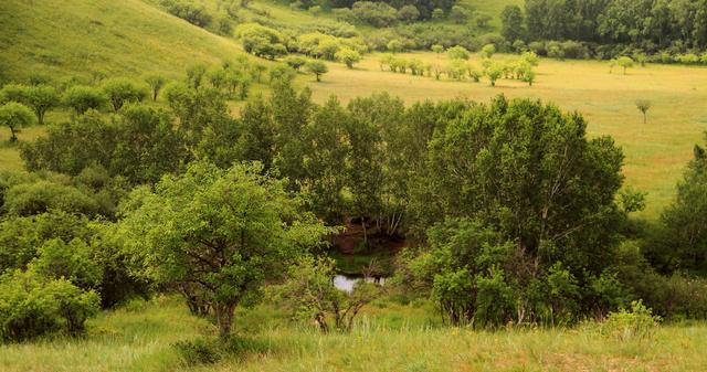 法国啄木鸟电影罪恶的印记