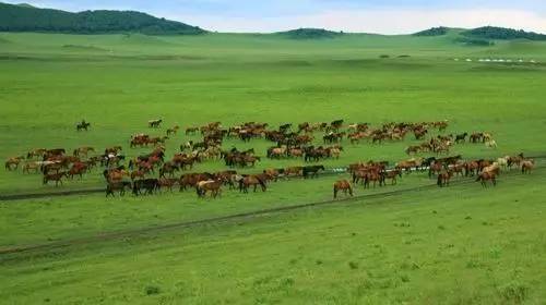 国产精品丝袜肉丝出水