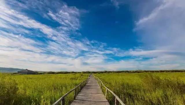 国产精品丝袜肉丝出水 