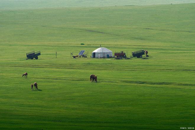 奶瓶母子小马拉大车