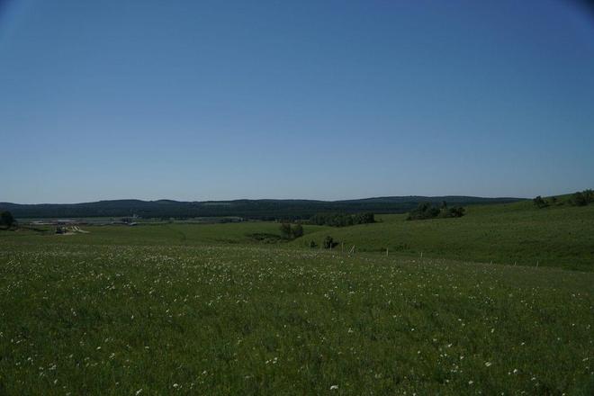 小马拉大车 兄妹