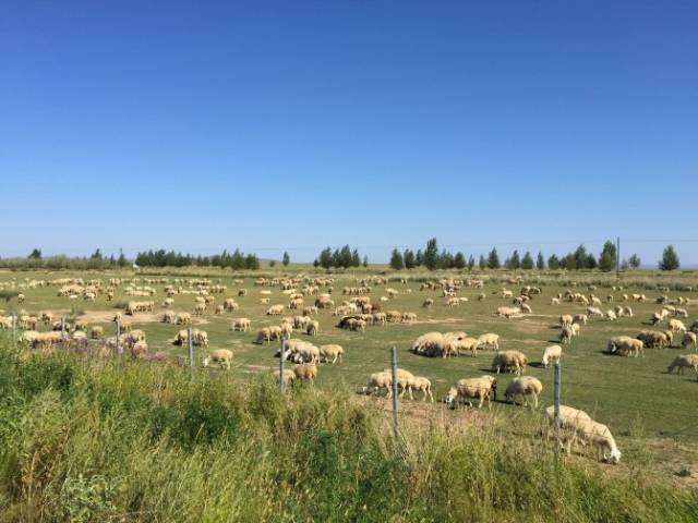 嫂子与我 任何关系都需要双方共同维护