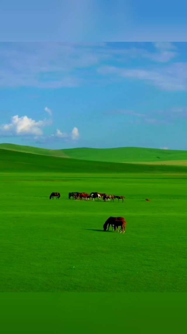 小马拉大车暗网