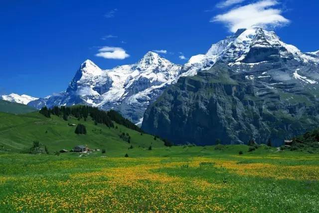 国产精品偷窥熟女精品视频