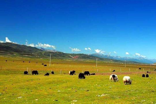 每日大乱斗反差 30分钟内即可掌握基础操作