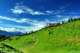 上校的阴谋啄木鸟 我可以更准确地帮你解读