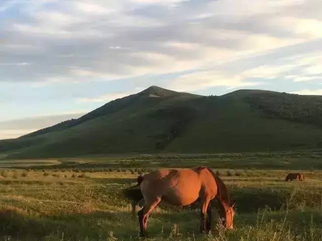 九九热在线视频精品店