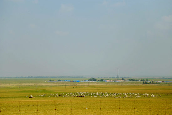 亚洲精品无码国产AV