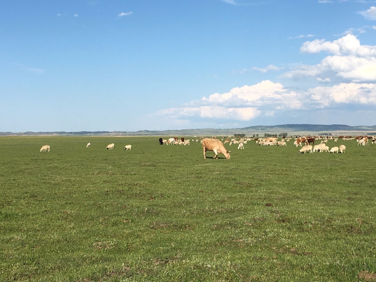 精品VPSWIN好妈妈 好妈用户应关注几个关键点