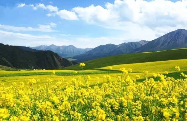 久久精品无码av一区二区 一个匿名案例研究显示