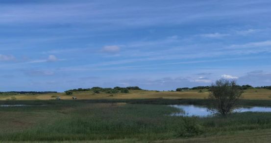 国产精品酒店一区二区